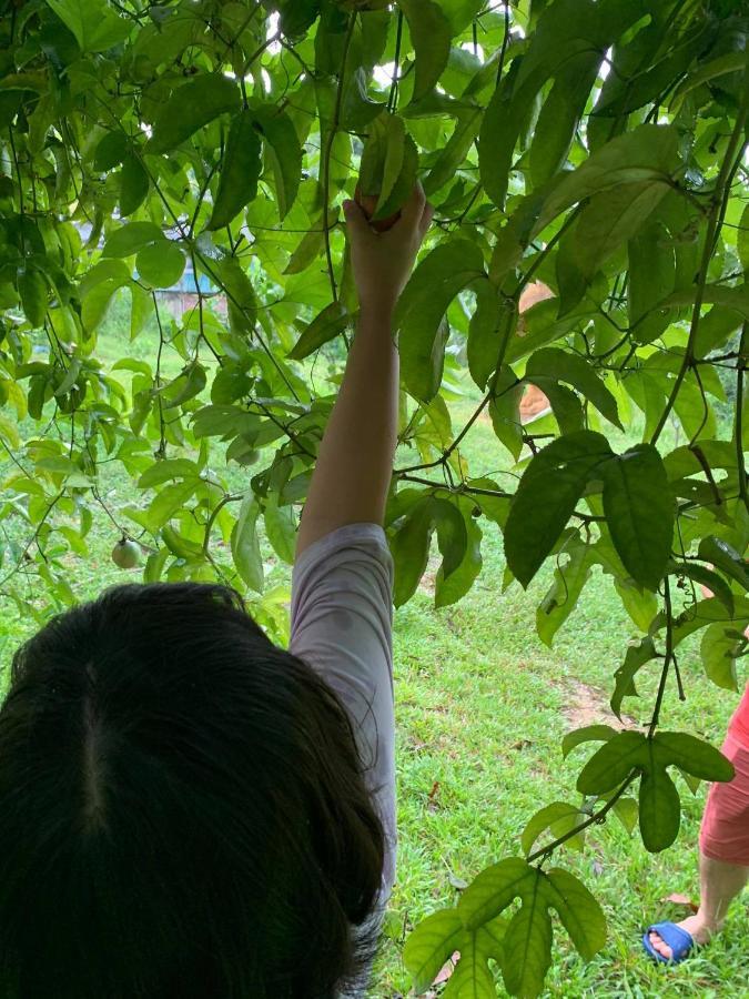 Pai Bjooc Homestay Tuyen Quang Exteriér fotografie