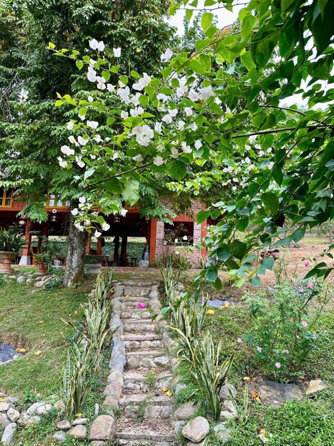 Pai Bjooc Homestay Tuyen Quang Exteriér fotografie